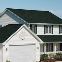 Портфолио Dolly Paul